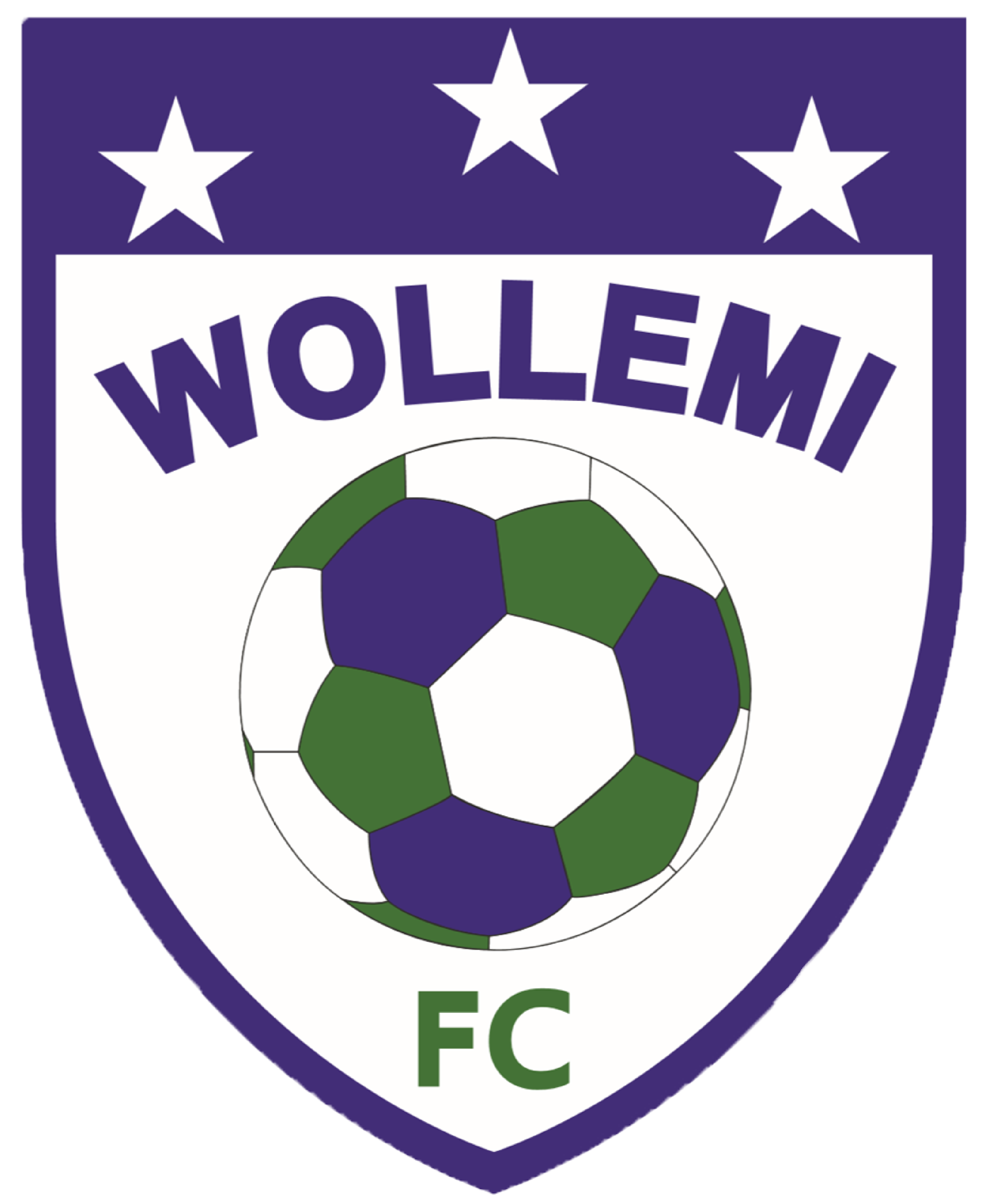 Wollemi FC Logo